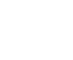 Valorant Logo